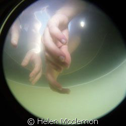 . by Helen Mcclernon 